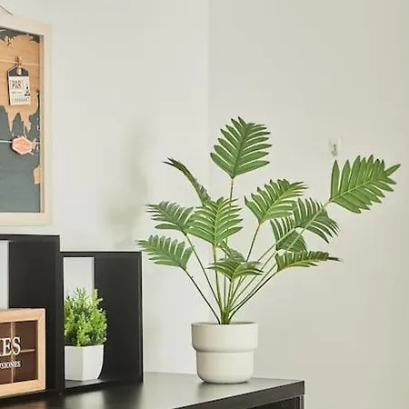 El Palmeral Ha Free Parking Cádiz