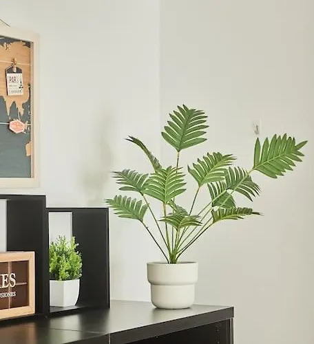 El Palmeral Ha Free Parking Cadiz